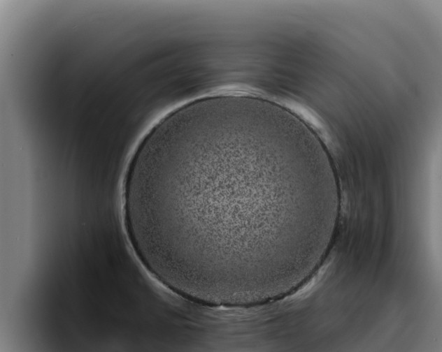 X0000094961430200712061302