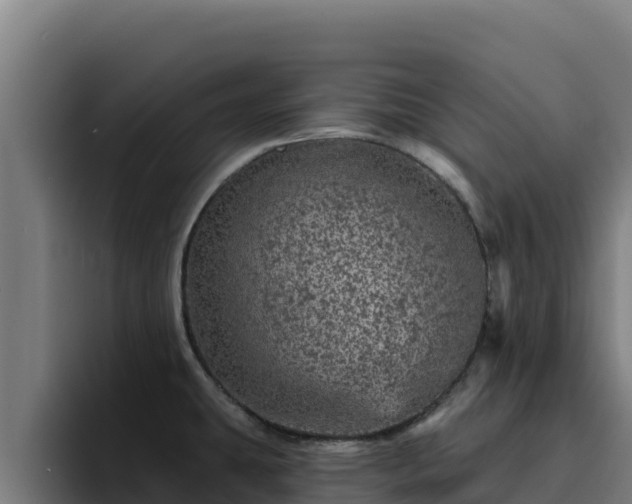 X0000094961431200712061302