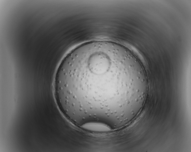 X0000094961432200712061302