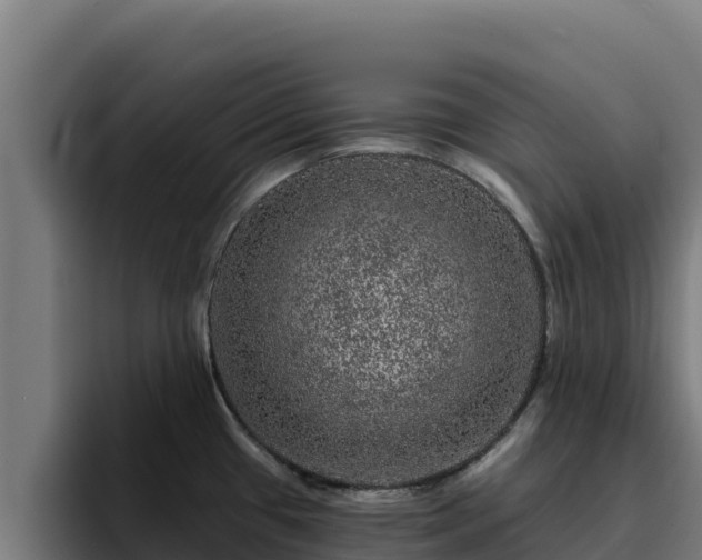 X0000094961433200712061303