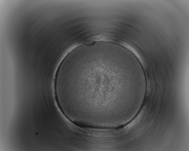 X0000094961434200712061303