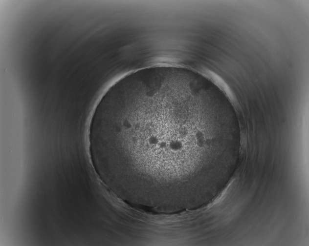 X0000094961435200712061303