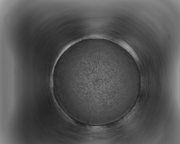 X0000094961436200712061303