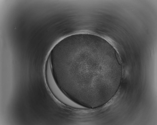 X0000094961438200712061303