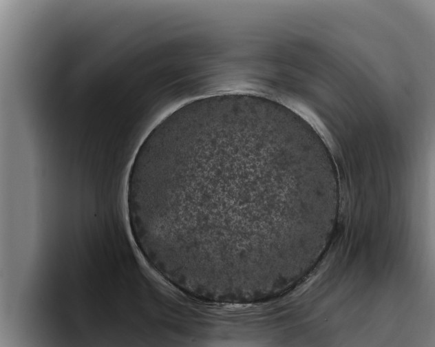 X0000094961439200712061303