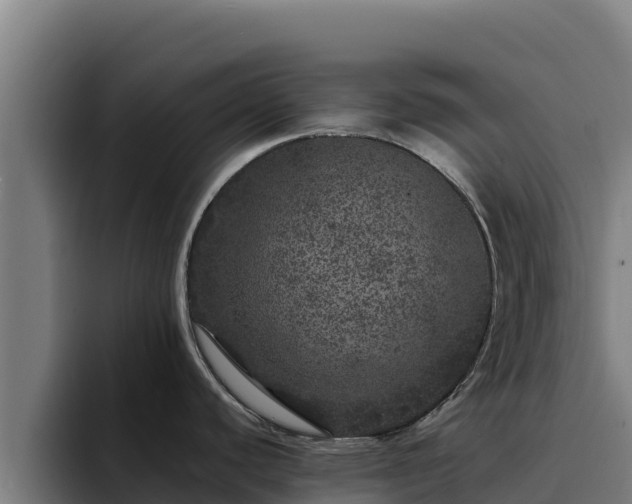 X0000094961440200712061303