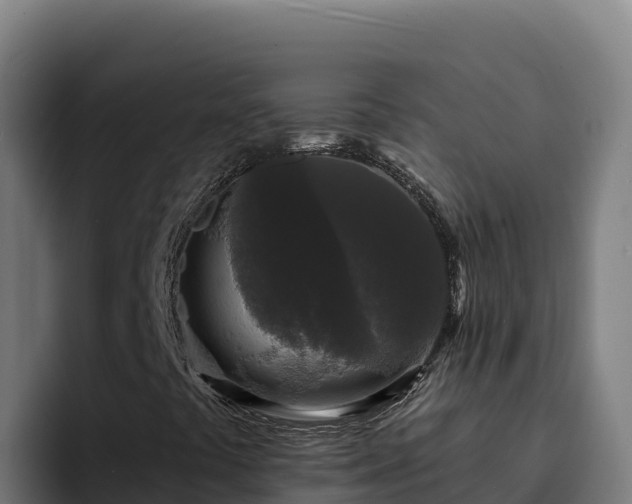 X0000094961441200712061302