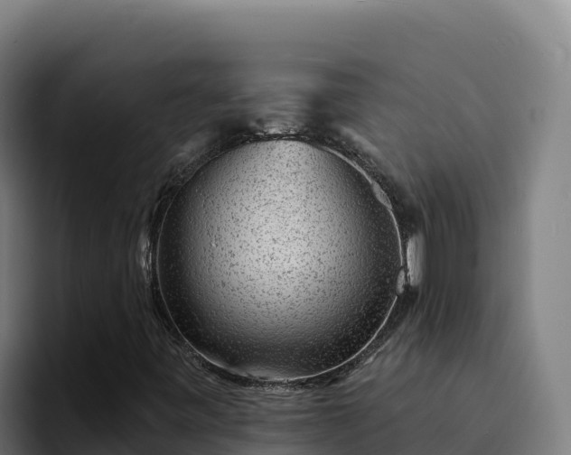 X0000094961443200712061302