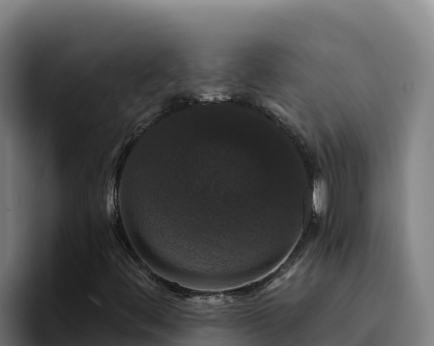 X0000094961444200712061302