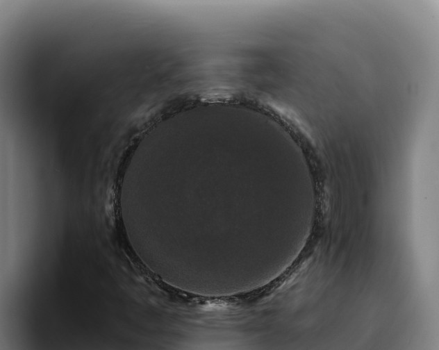 X0000094961445200712061302