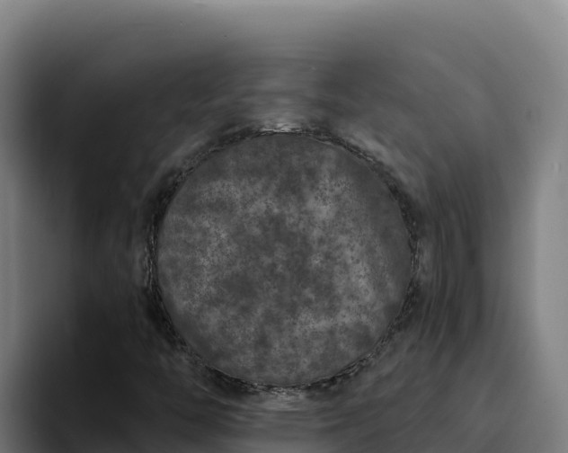 X0000094961446200712061302