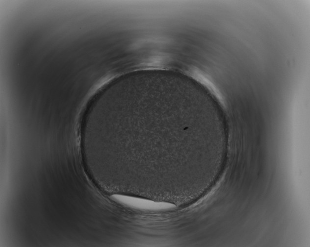 X0000094961450200712061302