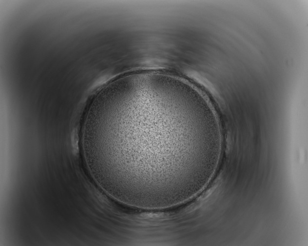 X0000094961451200712061302