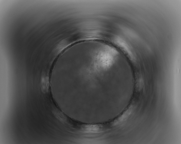 X0000094961457200712061302