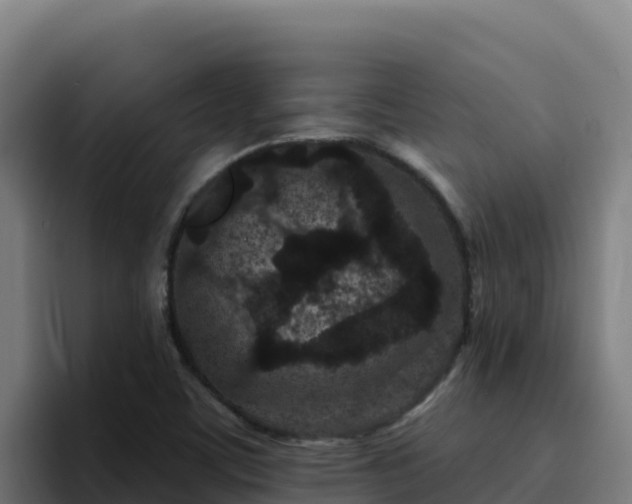 X0000094961459200712061302