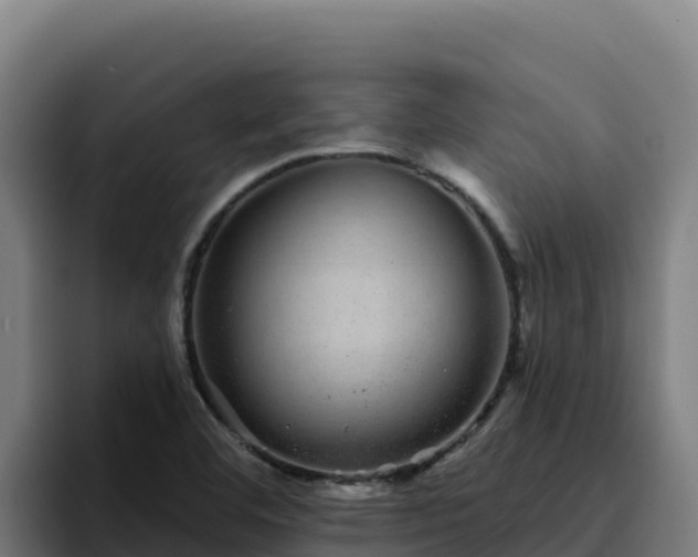 X0000094961460200712061302