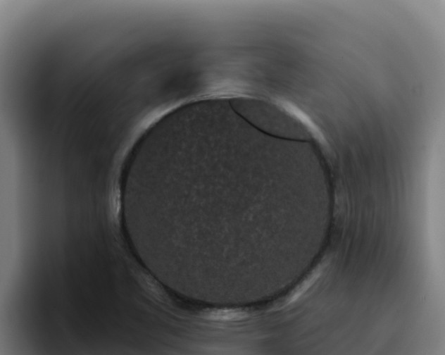 X0000094961461200712061302