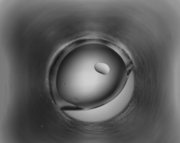 X0000094961464200712061302