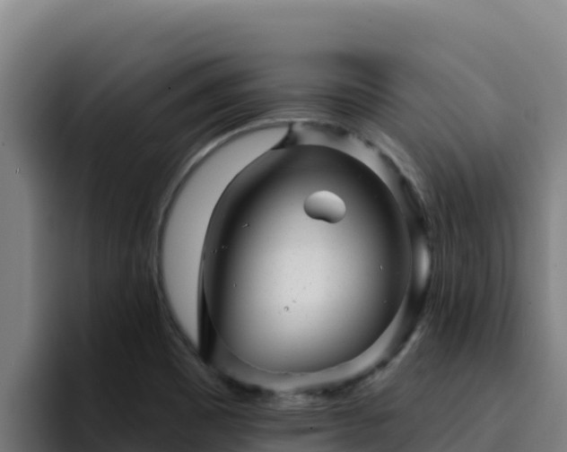 X0000094961465200712061302