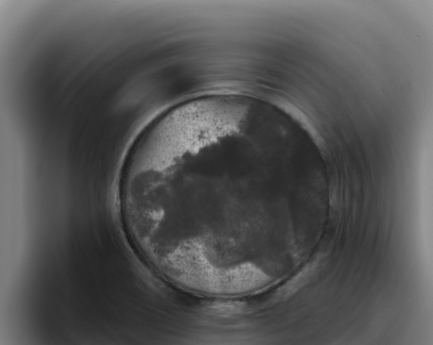 X0000094961466200712061302