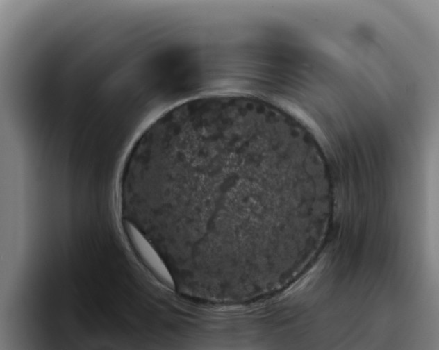 X0000094961467200712061302