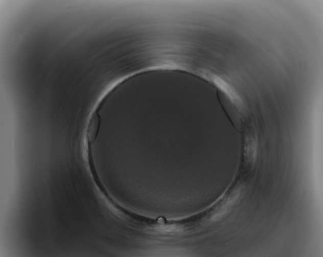 X0000094961468200712061302