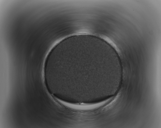 X0000094961469200712061302