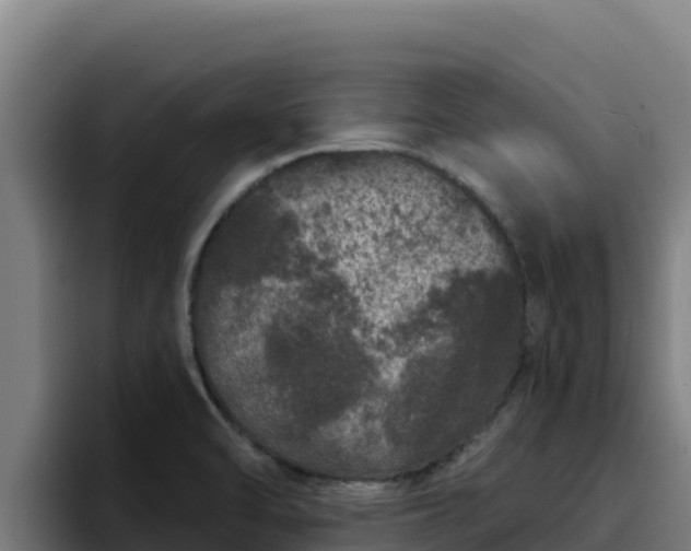 X0000094961470200712061302