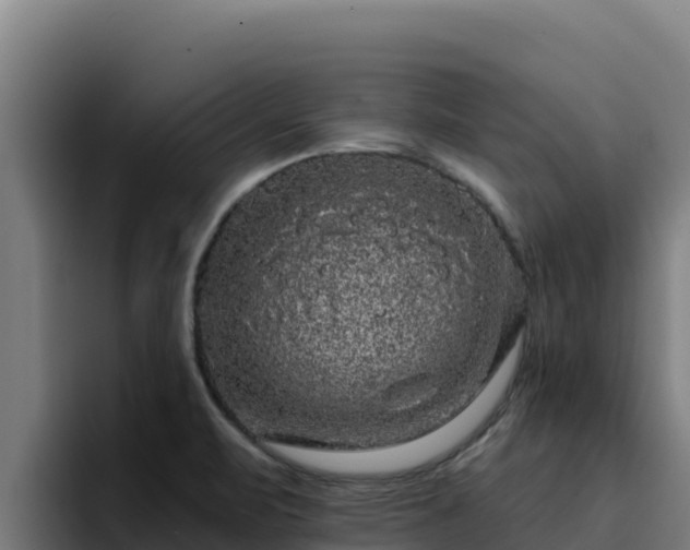 X0000094961471200712061302