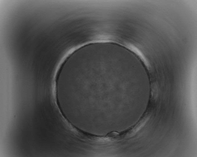 X0000094961472200712061302