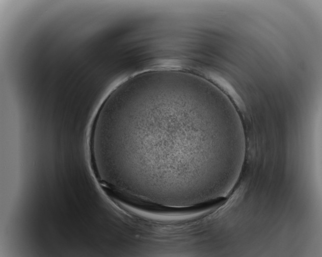 X0000094961475200712061302