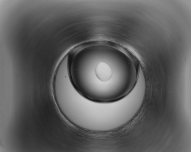 X0000094961476200712061302