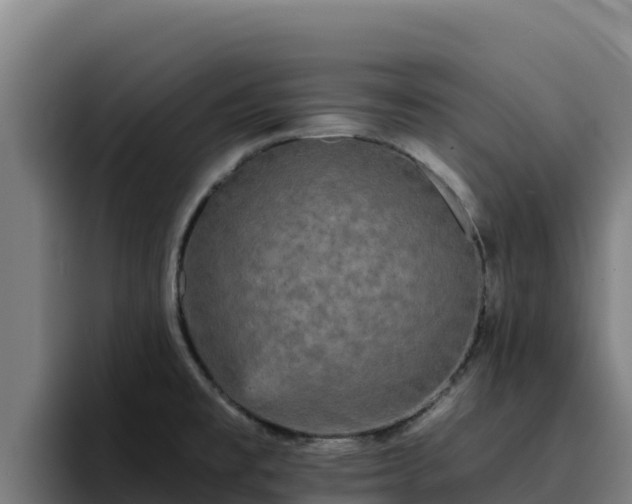 X0000094961477200712061301