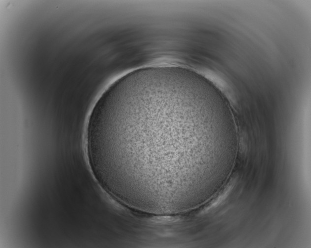 X0000094961478200712061301