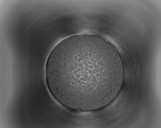 X0000094961479200712061301