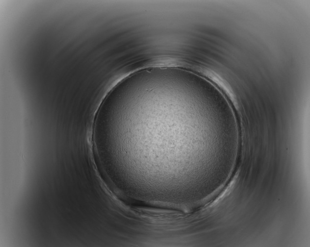 X0000094961481200712061301