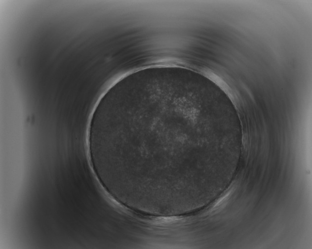 X0000094961482200712061301