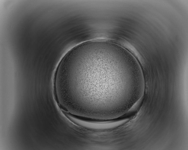 X0000094961483200712061301