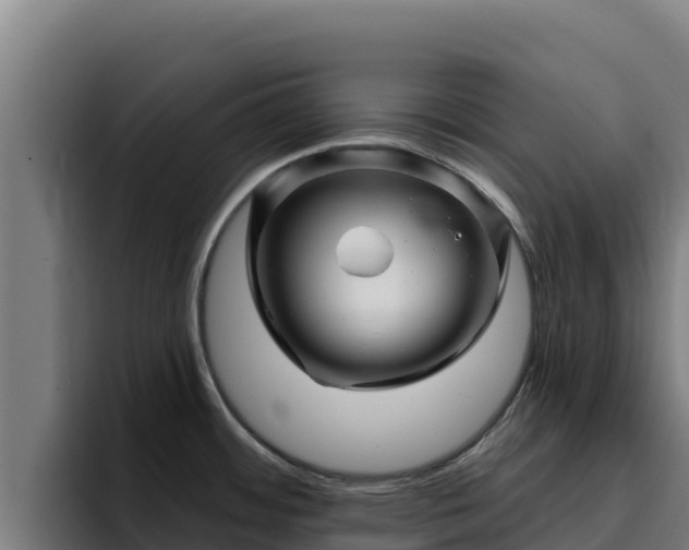 X0000094961484200712061301