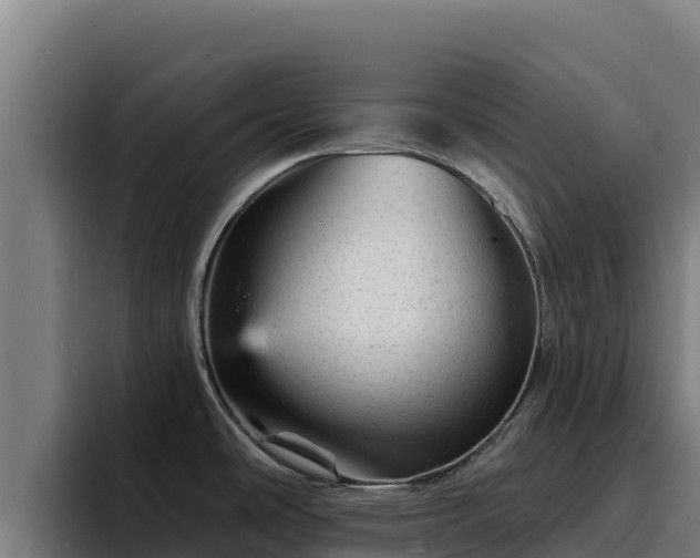 X0000094961486200712061301