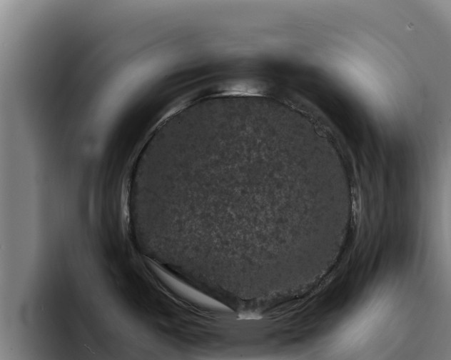 X0000094961487200712061301