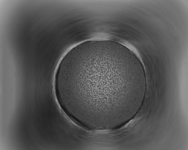 X0000094961488200712061301