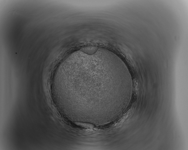 X0000094961489200712061301