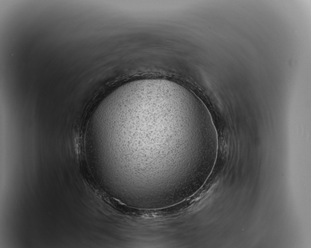 X0000094961490200712061301