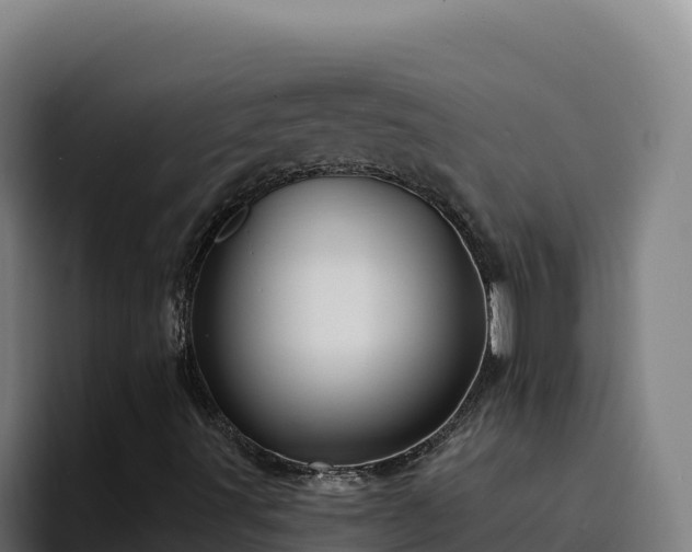 X0000094961491200712061301