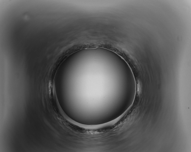 X0000094961492200712061301