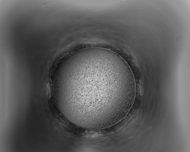 X0000094961493200712061301