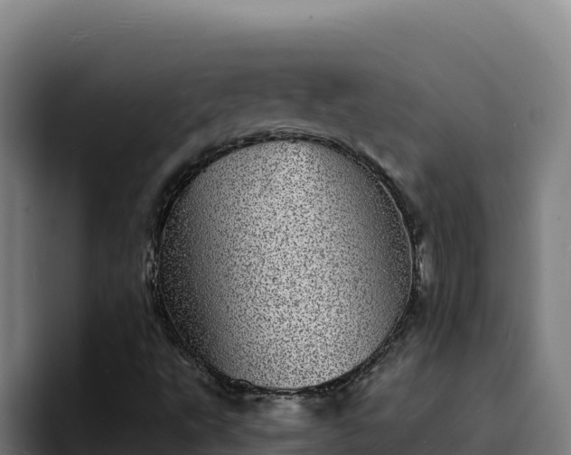 X0000094961495200712061301