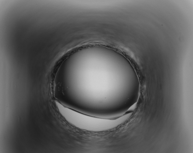 X0000094961496200712061301