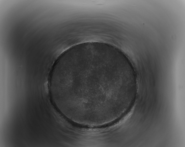 X0000094961497200712061301